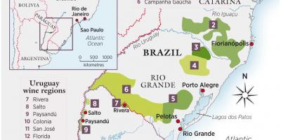 خريطة أوروغواي النبيذ